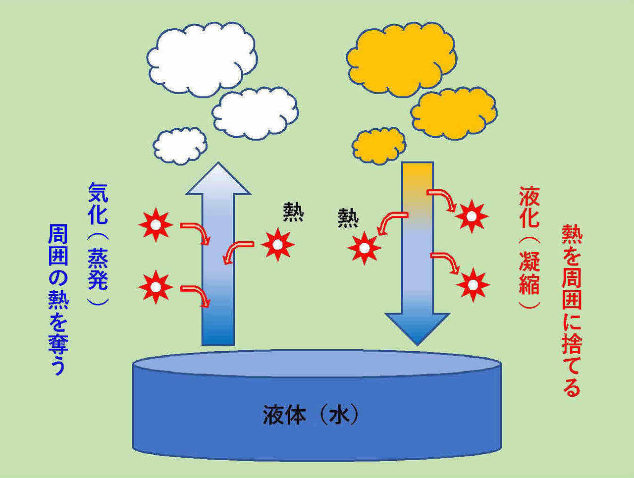 蒸発 と 蒸散 の 違い